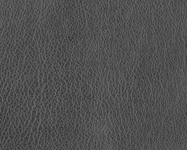 Detailní textury šedá kůže — Stock fotografie