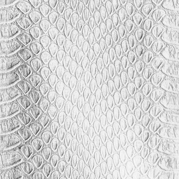 Weiße künstliche Schlangenhaut Textur. nützlich als Hintergrund — Stockfoto