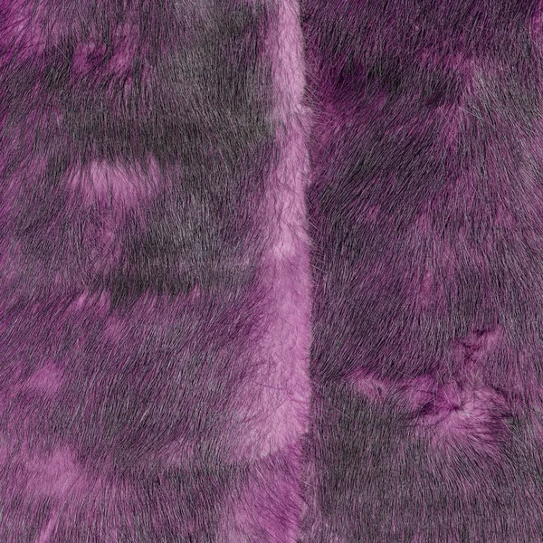 Background of violet natural fur texture — Stock Photo, Image