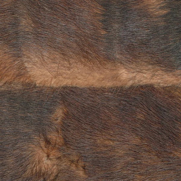 Brązowy futro naturalne tekstura zbliżenie na prace projektowe — Zdjęcie stockowe