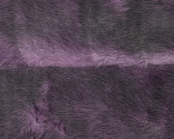 Målade violett päls konsistens närbild — Stockfoto