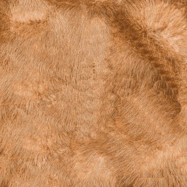 Turuncu doğal kürk doku closeup boyalı