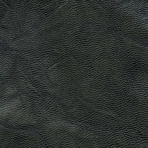 Black leather texture, useful as background — Stock Photo, Image