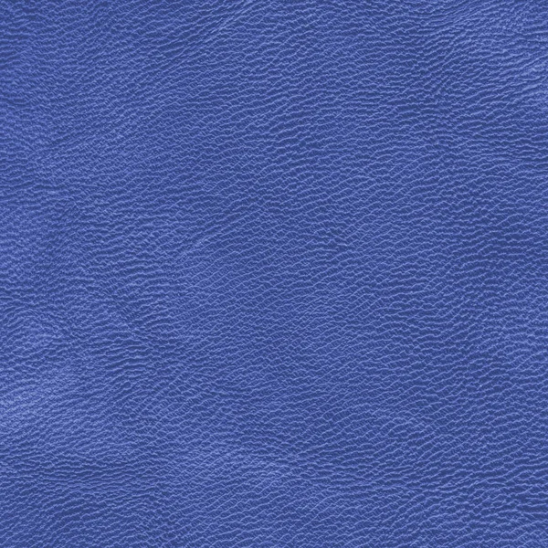 Textura de cuero azul, útil como fondo — Foto de Stock