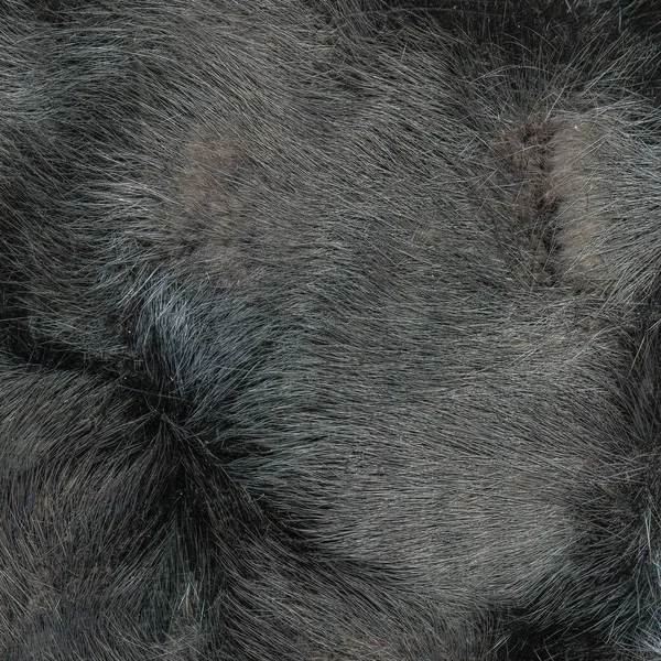 Gray fur texture.Useful as background for design-works — Stock Photo, Image