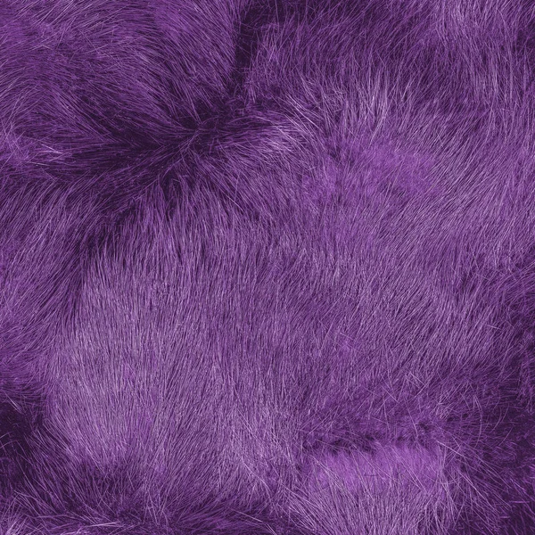 Texture de fourrure violette peinte. Utile comme fond — Photo