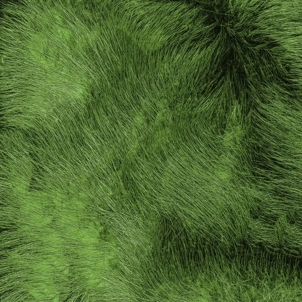 Painted green natural fur texture closeup — Stock Photo, Image