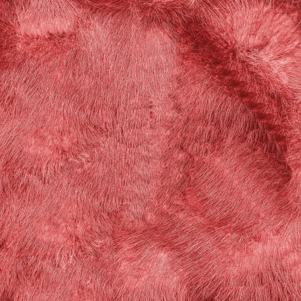 Painted red natural fur texture closeup — Stock Photo, Image