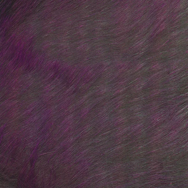 Painted natural fur texture — Stock Photo, Image