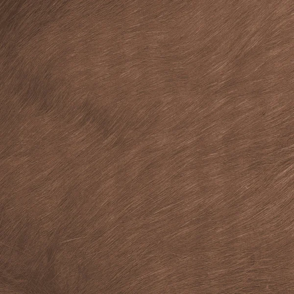 Painted natural fur texture — Stock Photo, Image