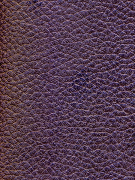 Темно-фиолетовая текстура кожи как фон — стоковое фото