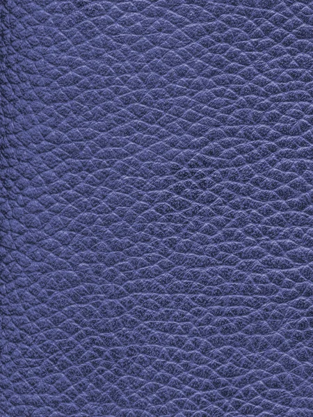 Textura de couro azul como fundo — Fotografia de Stock