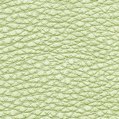 yüksek Detaylı ışık yeşil deri doku