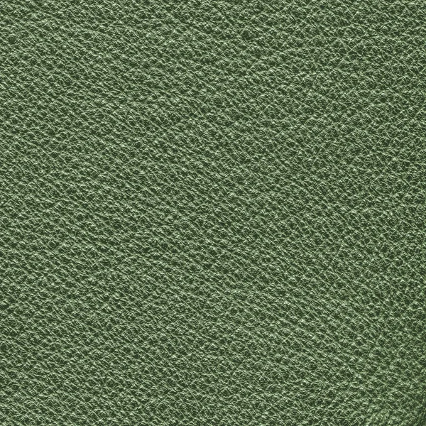 Textura de couro verde close-up. — Fotografia de Stock