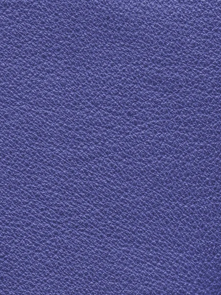 Modrá kůže textura detailní up. — Stock fotografie