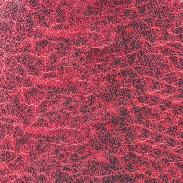 High detailed red leather texture as background — Stock Photo, Image