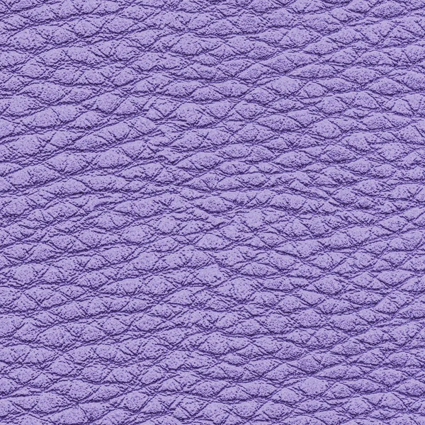 Hoog gedetailleerde violet leder texture — Stockfoto