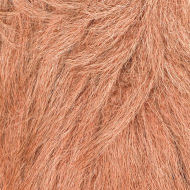 Kırmızı koyun derisi doku tasarım çalışmaları için arka plan olarak