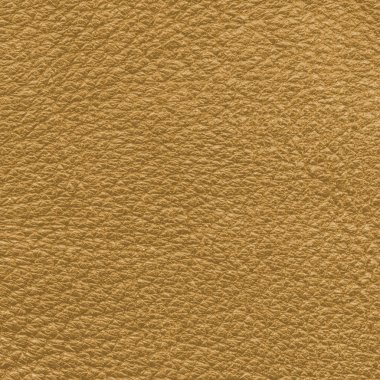 Sarı deri dokusu portre