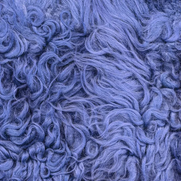 Окрашенные в синий цвет натуральные текстуры меха для фона — стоковое фото