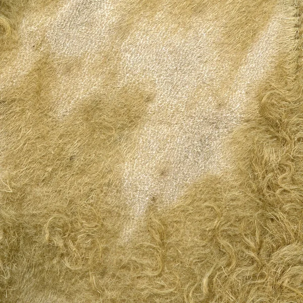 Fragmento de um casaco de pele de carneiro velho e gasto — Fotografia de Stock