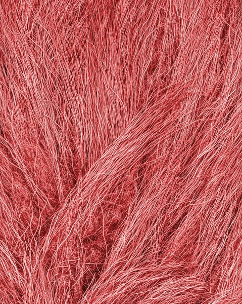 Pintado de piel de oveja roja textura primer plano —  Fotos de Stock