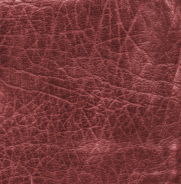 Czerwona skóra tekstura jako tło dla prace projektowe — Zdjęcie stockowe