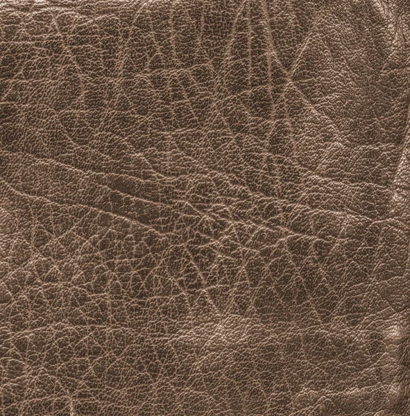 Textura de cuero marrón como fondo para trabajos de diseño —  Fotos de Stock
