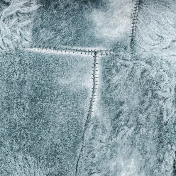 Geverfd grijs-blauw versleten schapenvacht textuur — Stockfoto