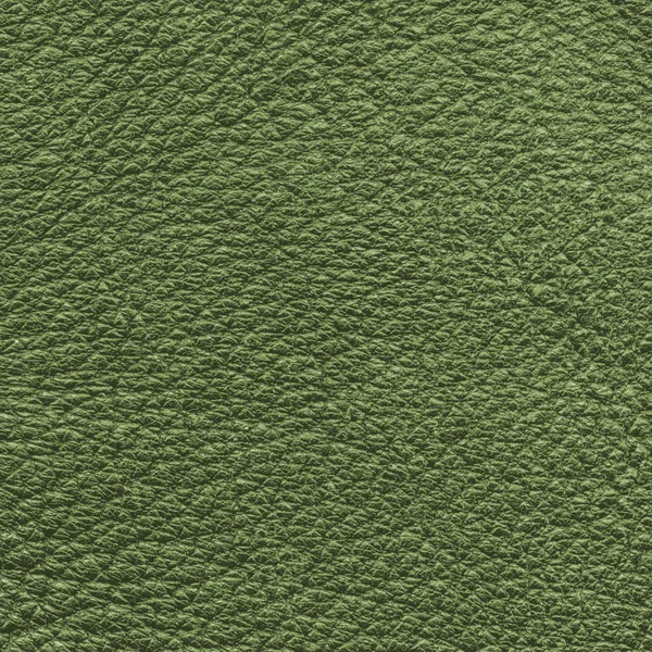 Texture cuir vert gros plan — Photo