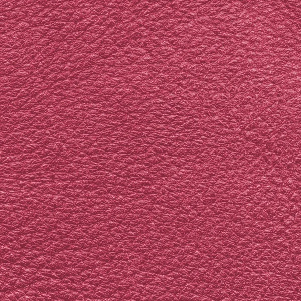 Crimson leather texture closeup — Stock Photo, Image