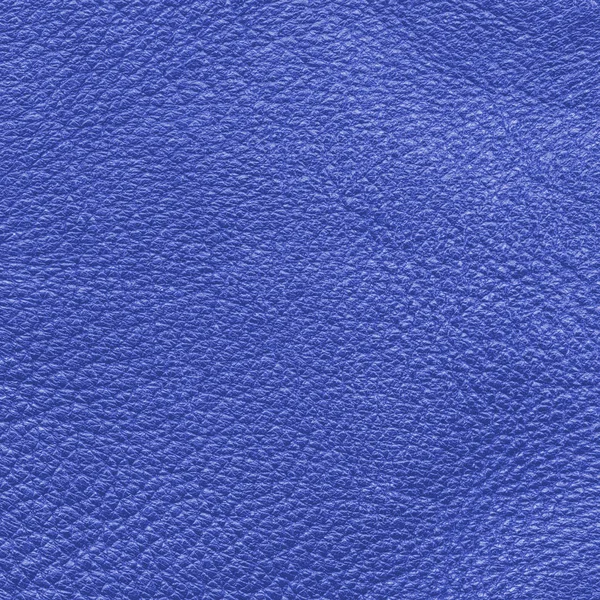 Sfondo in pelle blu — Foto Stock