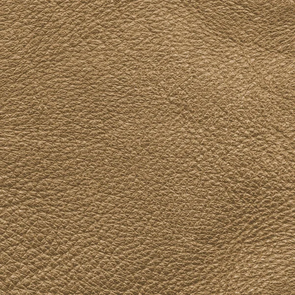 Brown leather texture. Leather background . — Stock Photo © natalt