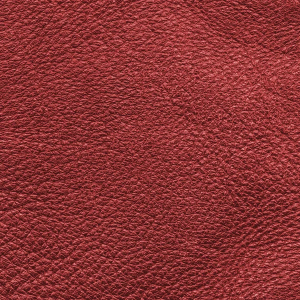 Red leather background — Stock Photo, Image