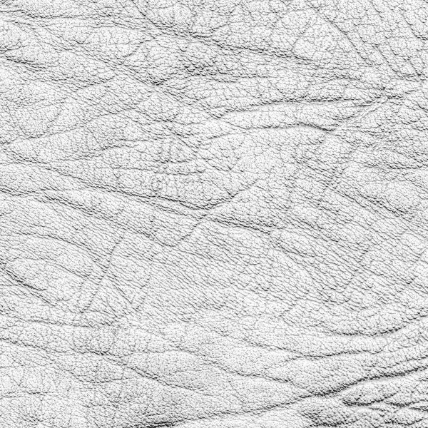 Light gray  old and worn  leather texture closeup — Stock Photo, Image