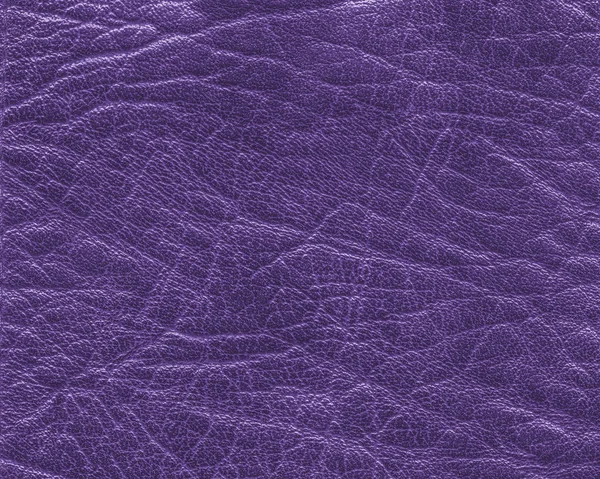 Viejo y desgastado textura de pluma violeta primer plano —  Fotos de Stock