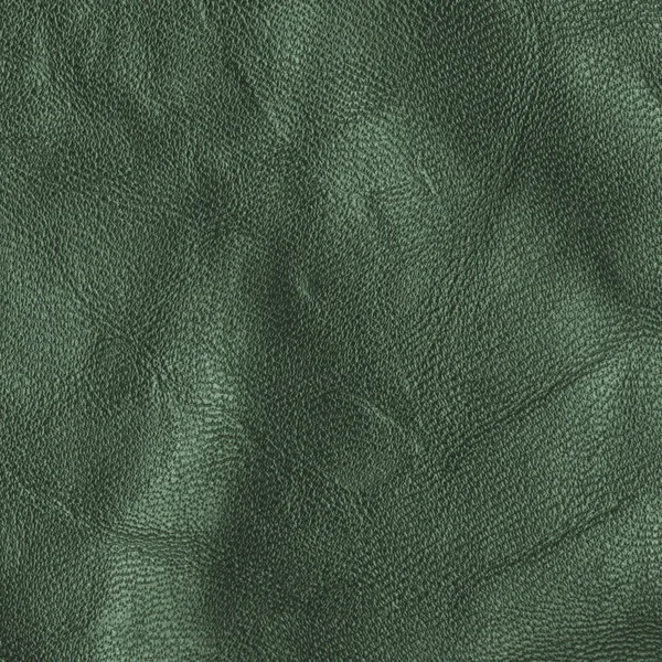 Fragment van een stukje oude groen leer. — Stockfoto
