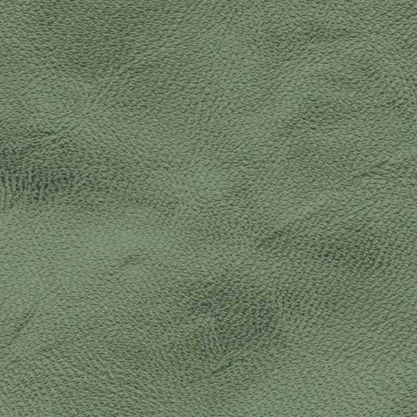 Fragment of a piece of old green leather closeup — Stock Photo, Image