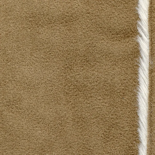 Kahverengi deri ürünleri ile kürk parçası trim — Stok fotoğraf