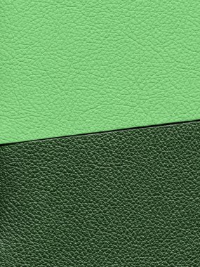 Deri arka plan iki renk 