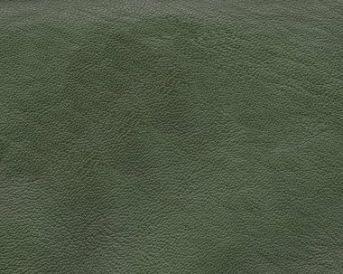 arkaplan için yeşil deri dokusu