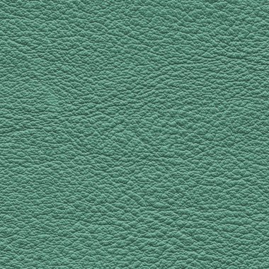 yüksek Detaylı yeşil deri doku.