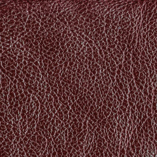 Старая текстура из виноградной кожи. Может использоваться в качестве фона — стоковое фото