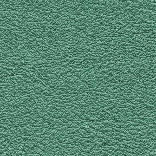 Textura de cuero verde detallado alto . — Foto de Stock