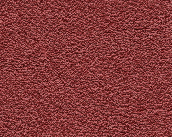 Haute texture détaillée en cuir rouge — Photo