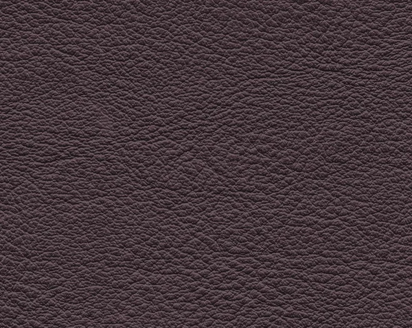 Haute texture détaillée en cuir brun foncé — Photo
