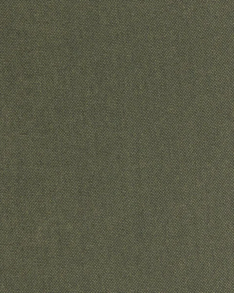 Texture tissu gris-vert — Photo