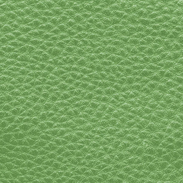 Textura de cuero verde, útil para el fondo — Foto de Stock