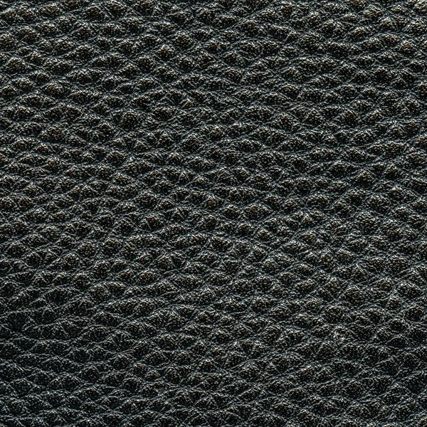 Black high detailed leather texture as background — Stock Photo, Image