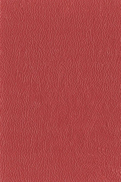 Haute texture détaillée en cuir rouge — Photo